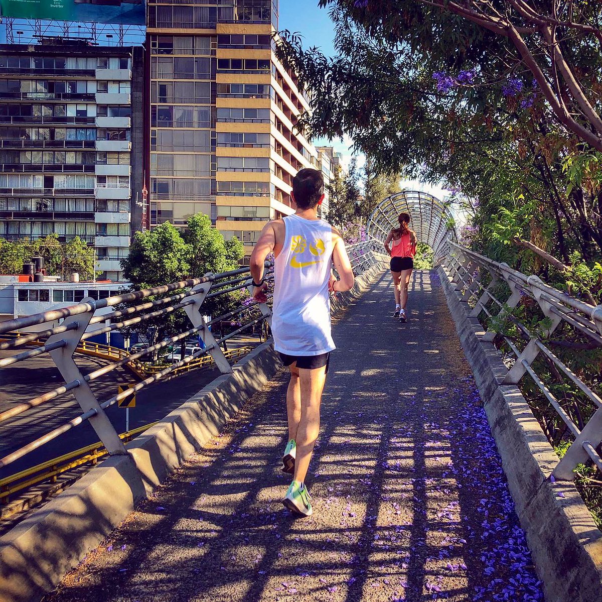 carlos_runs's tweet photo. Domingo de distancia, 22km de mucho calor y de calles vacías. A diferencia de otros domingos pude notar muy poca gente haciendo ejercicio. Y tú, ¿saliste a correr?
_______________
#corrermakesmehappy #friendstraining #running #runner #runningmotivation #runningman https://t.co/Ik7wnhRt5Y