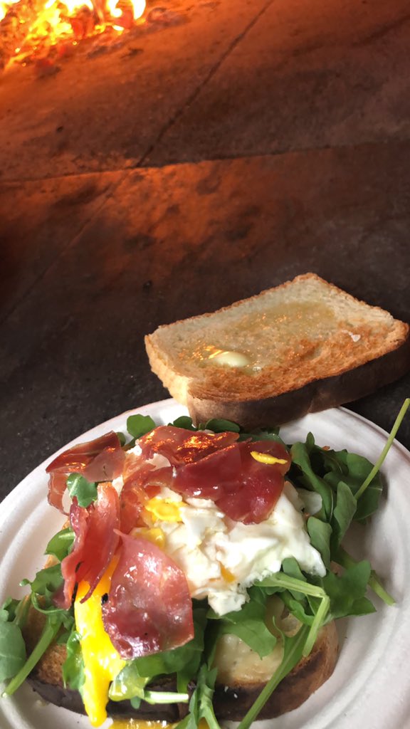 Little Tomato tweet media