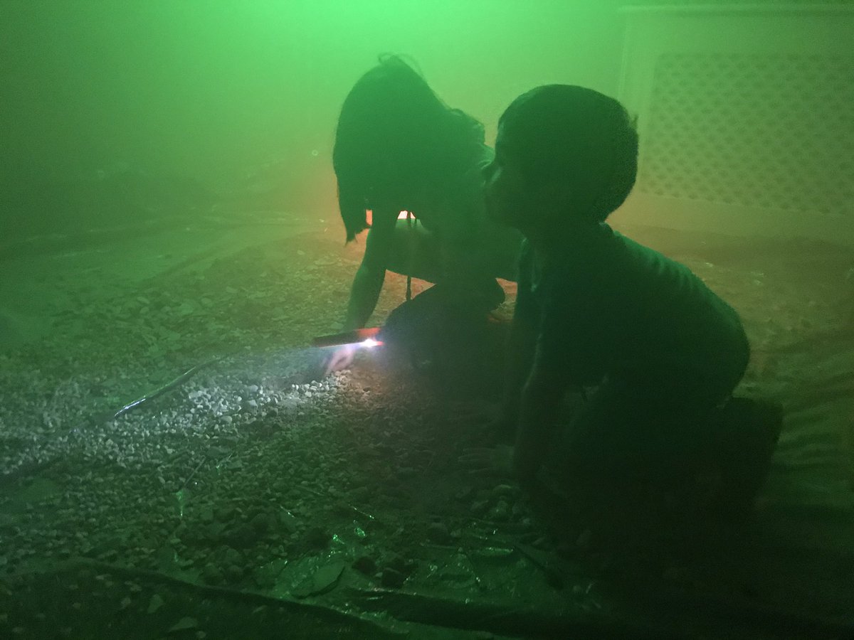 anjgoswami's tweet image. #QuarantineParenting tip: if you have a metal detector, you can easily convert your living room fossil dig site into a treasure hunt for hours of wholesome entertainment. After bedtime, it also works for recreating scenes from Aliens, Star Wars, Terminator, etc. #DayOne
