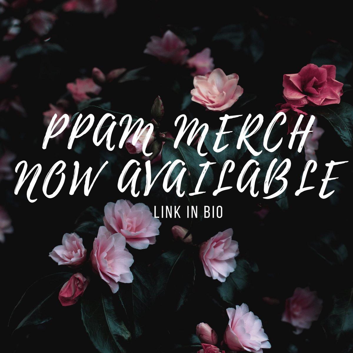 We’re selling merch! Order by Tuesday, and our president Colleen will be in touch when they’ve arrived. Link in bio to purchase!