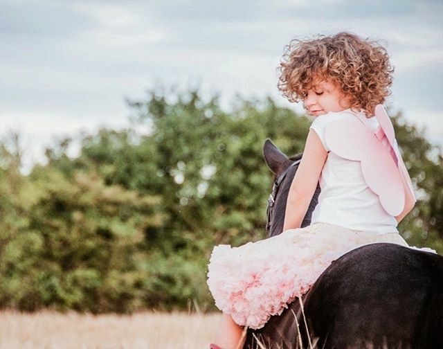 “Everyone is a bit scared,” said the horse. “But we are less scared together.” - <a href="/charliemackesy/">charlie mackesy</a> ift.tt/39Unijw