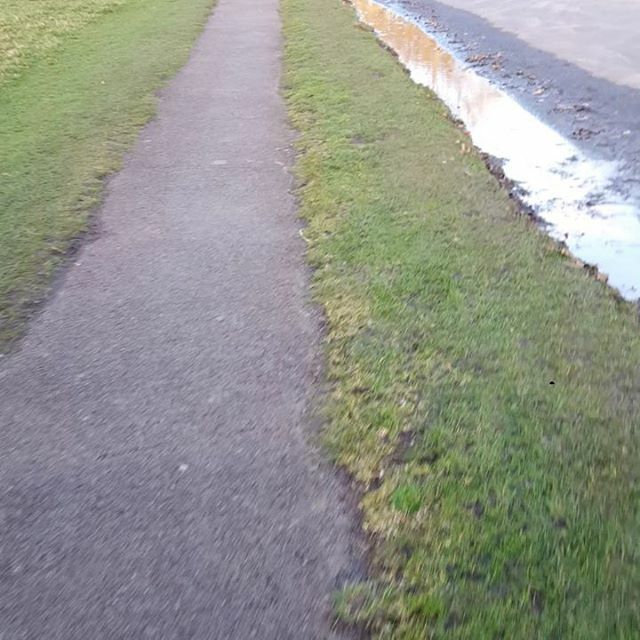 BalanceIreland's tweet image. A nice walk in the Phoenix park with @maeve_balance. Hope everyone is keeping well and safe. #balanceireland ift.tt/2vXOGyB
