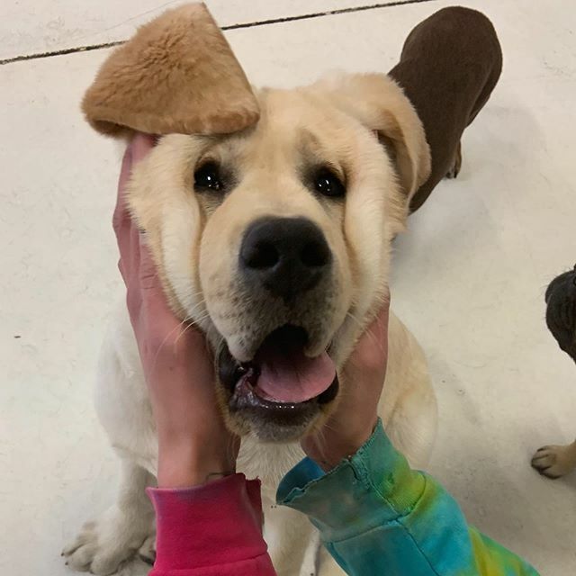 Billy has lots of skin. 🤪 ift.tt/38U5pjI