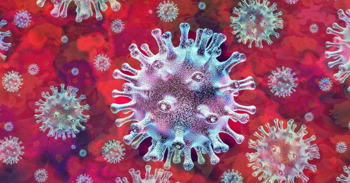 Gemeente Westland, <a href="/gemeentekatwijk/">Gemeente Katwijk</a>, <a href="/Aalsmeer_NL/">Gemeente Aalsmeer</a> en <a href="/Gem_Uithoorn/">Gemeente Uithoorn</a> luiden noodklok over crisis in de #sierteelt.  bit.ly/3d3n8rZ #COVID19NL #Coronavirusnl