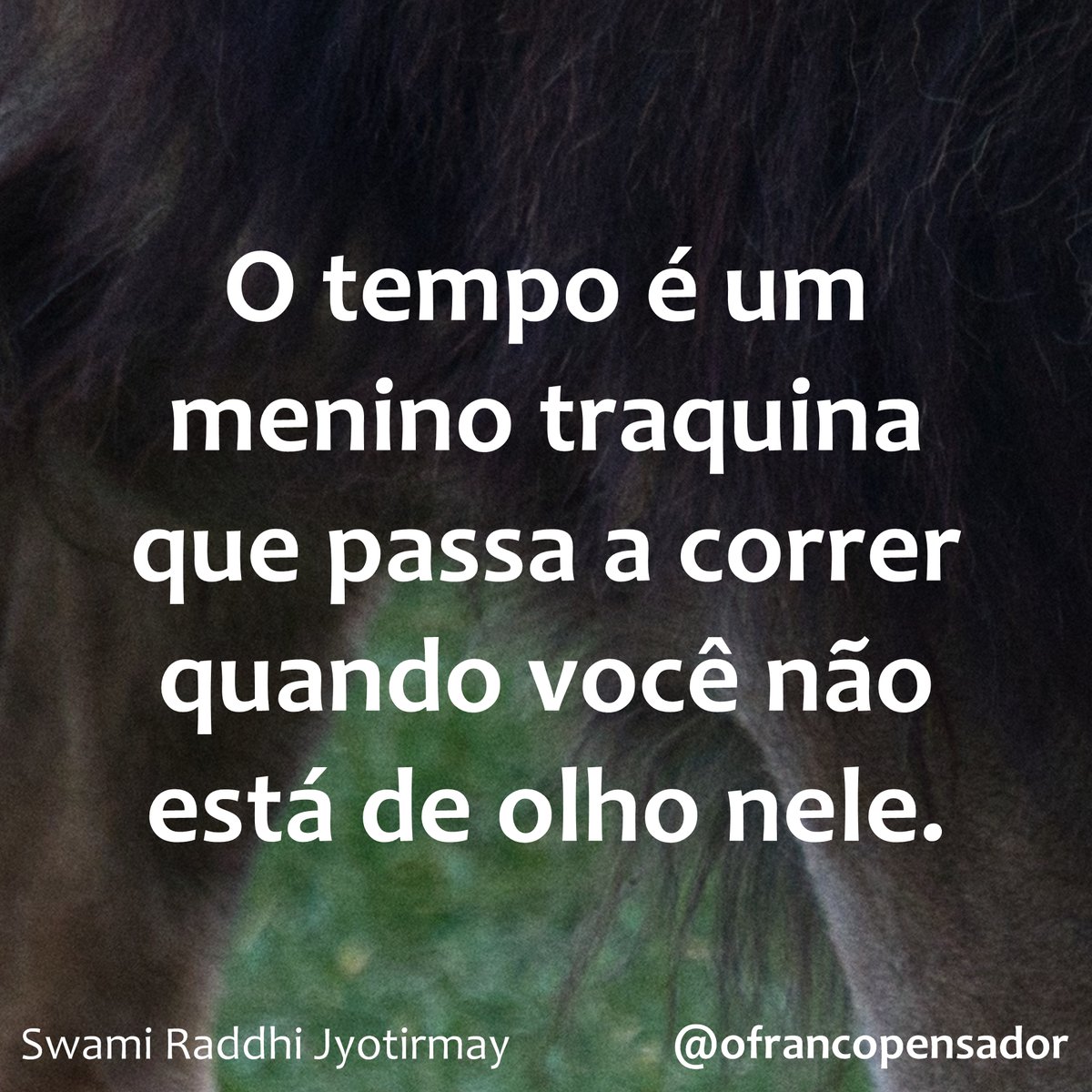 ofrancopensador's tweet photo. O tempo é um menino traquina que passa a correr quando você não está de olho nele.

#tempo #moleque #levado #passa #vida #ansiedade #presente #futuro #passado #ofrancopensador #amor #fitness #frase #frases #horizonte #interior #natureza #pensamentos #saúde #sucesso #tempo #viagem https://t.co/AJagGbcFLT