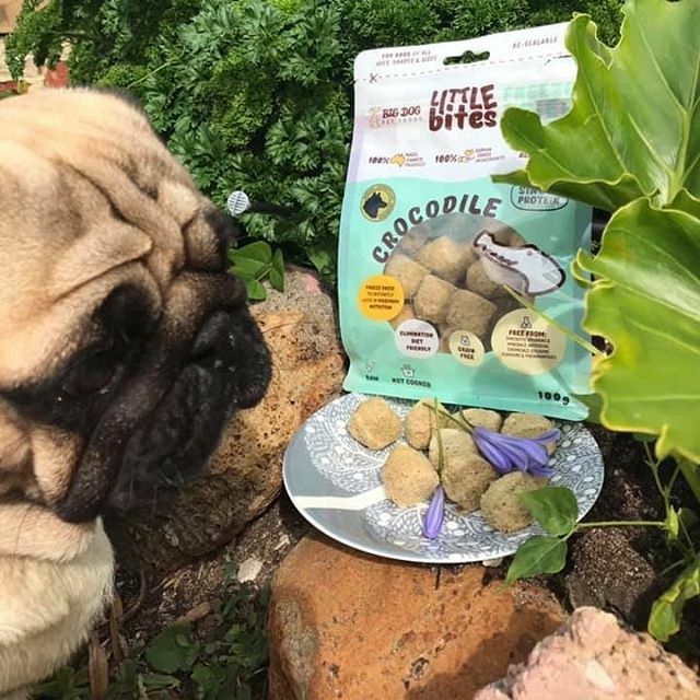 raw diet for pugs
