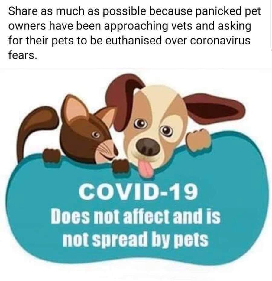 ♡Vanita ♡ (@vanitacoetzee) on Twitter photo 