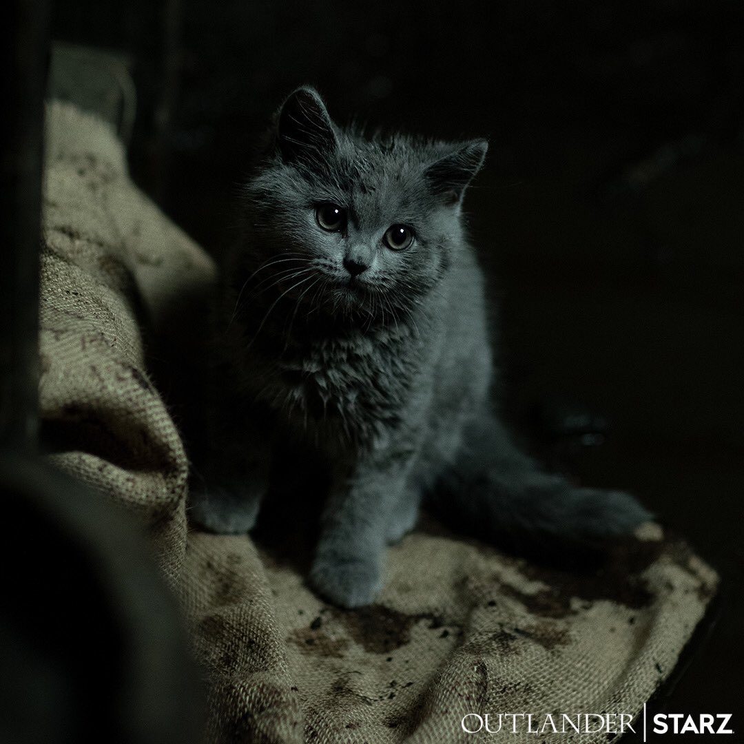 Outlander Writers tweet media