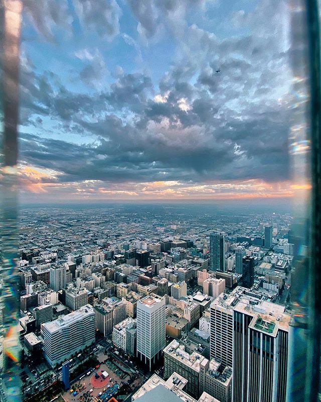 Mohamed Zohny tweet media