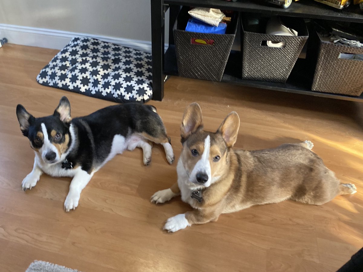 Ryan Clavin tweet media