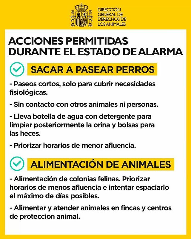 Colaboración Animal tweet media