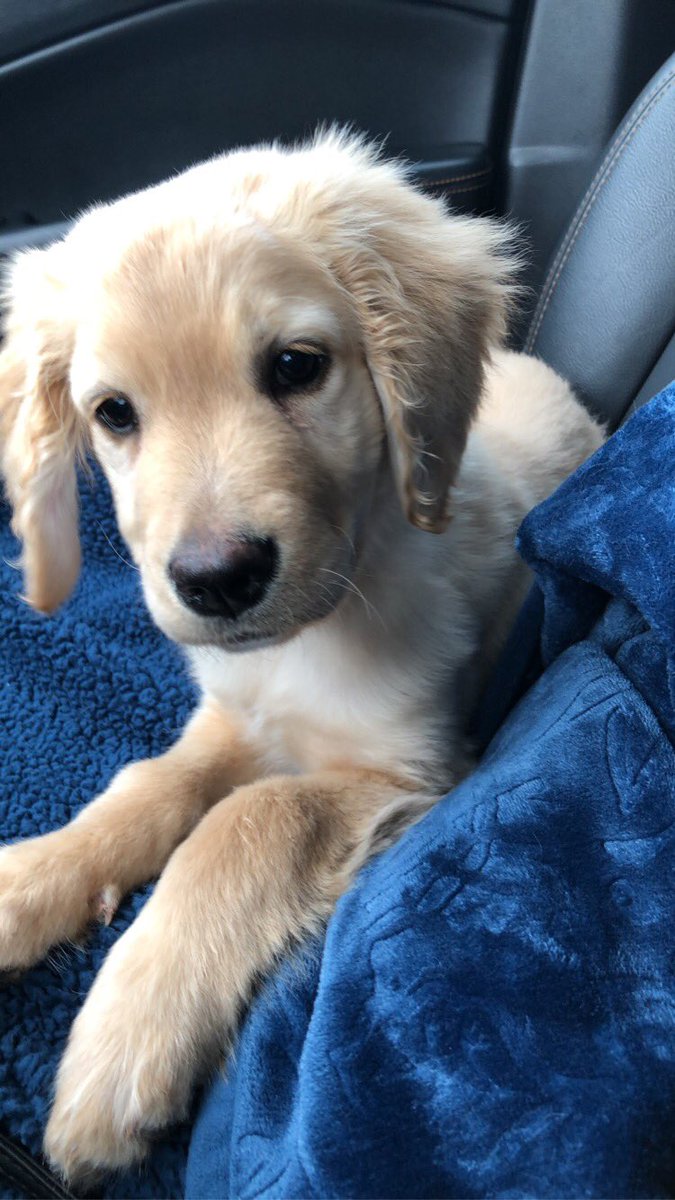 brookelissa's tweet photo. 🥺 https://t.co/r2jsQyqdZl