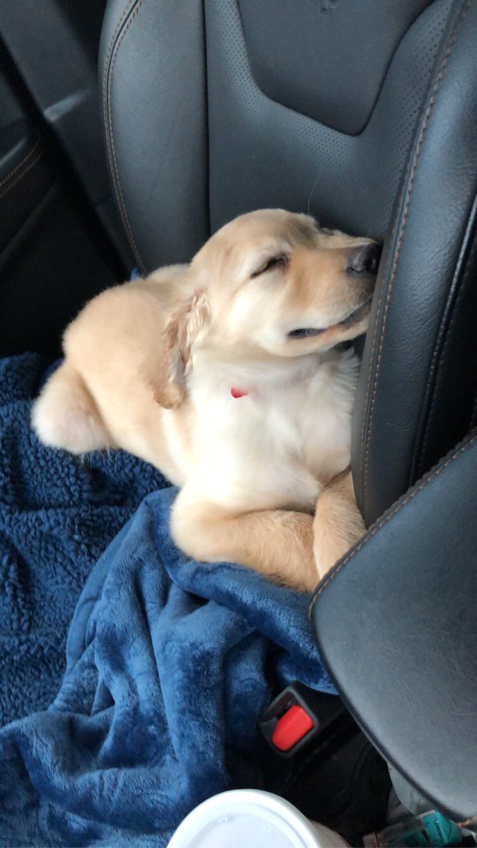 brookelissa's tweet photo. 🥺 https://t.co/r2jsQyqdZl
