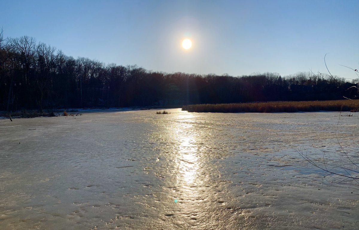 WeAreMN_'s tweet photo. It’s during times like these that Minnesotans shine. We are a generous people and we look out for each other. Minnesota will get through this Covid 19 crisis stronger than we were before. We know how to get things done. We are the North. We are Minnesota. #DNP #WeAreMN #four32 https://t.co/hDx27YCQLm