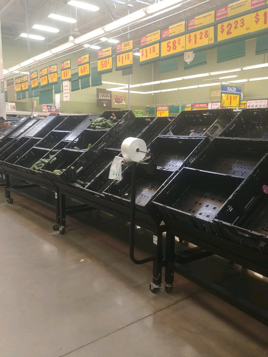 simplyhayesTX's tweet photo. I can't make fried potatoes with dinner tonight because SOMEBODIES went all stupid in the grocery stores. Thanks Ppl for the forced fasting y'all put me on. Keep Calm and Wash your Damn Hands! https://t.co/QceZdmSpYS
