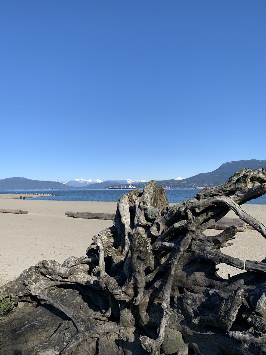 Vancouver is built for social distancing. #blessed