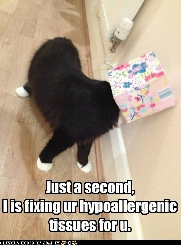 marillion13's tweet image. Okay, I found out that the #NewTwitterDesign is better for tweeting screenshots like now, but it´s BS to check out the notifications and it´s very nervous because it refreshes every few seconds, so the #GoodTwitter or #OldTwitterLayout add-on is switched off and on now!!!