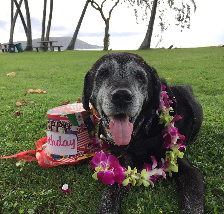 Aloha Friends! I am 15 today. 😁 Had the best birthday morning and ate steak for breakfast and am at the beach! I feel so lucky to be 15, to live in Hawaii and to have met all of you in the past 1 Year on Twitter. 😘 Each day is so precious and I love you all. 💕