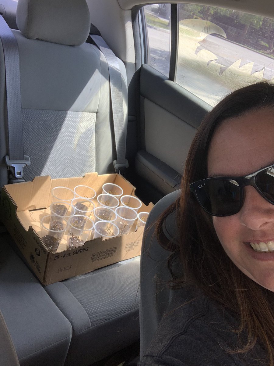 Michelle A. Navetta (@michellenavetta) on Twitter photo So, out of school for two weeks, the day after #MissNavettasClass plants lentil seeds for our <a href="/ECE_SDPBC/">Dept of Early Childhood Ed</a> DLM Unit on #GrowingAndChanging.
Had the decision been made only 30mins sooner my students would have taken them home. Guess I’m a #PlantMom now. #EveryHeroHasAStory #GoalsPBC So, out of school for two weeks, the day after #MissNavettasClass plants lentil seeds for our <a href="/ECE_SDPBC/">Dept of Early Childhood Ed</a> DLM Unit on #GrowingAndChanging.
Had the decision been made only 30mins sooner my students would have taken them home. Guess I’m a #PlantMom now. #EveryHeroHasAStory #GoalsPBC