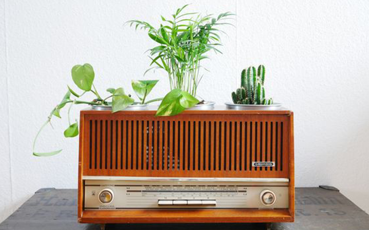 Music is life with Acid Stag Radio: wp.me/p2iymy-myP

feat: <a href="/priceparkmusic/">priceparkmusic</a> <a href="/uomo_musica/">U O M O</a> <a href="/flumemusic/">Flume</a> <a href="/ToroyMoi/">Toro y Moi</a> <a href="/porterrobinson/">porter robinson</a> <a href="/kidfroopy/">kid froopy</a> <a href="/twoanother/">Two Another</a> <a href="/IJALEofficial/">IJALE</a> @byeloveleo <a href="/NoMBeMusic/">nombemusic</a> <a href="/Rudimental/">Rudimental</a> <a href="/Dombresky/">Dombresky</a> <a href="/caribouband/">Caribou</a> @HIMOTIVEMUSIC <a href="/giraffage/">giraffage</a> <a href="/motez_music/">Motez</a>