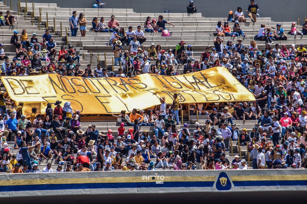 Photo_Manolo tweet media