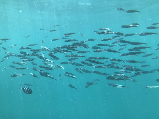 ではなかったのtwitterイラスト検索結果 古い順