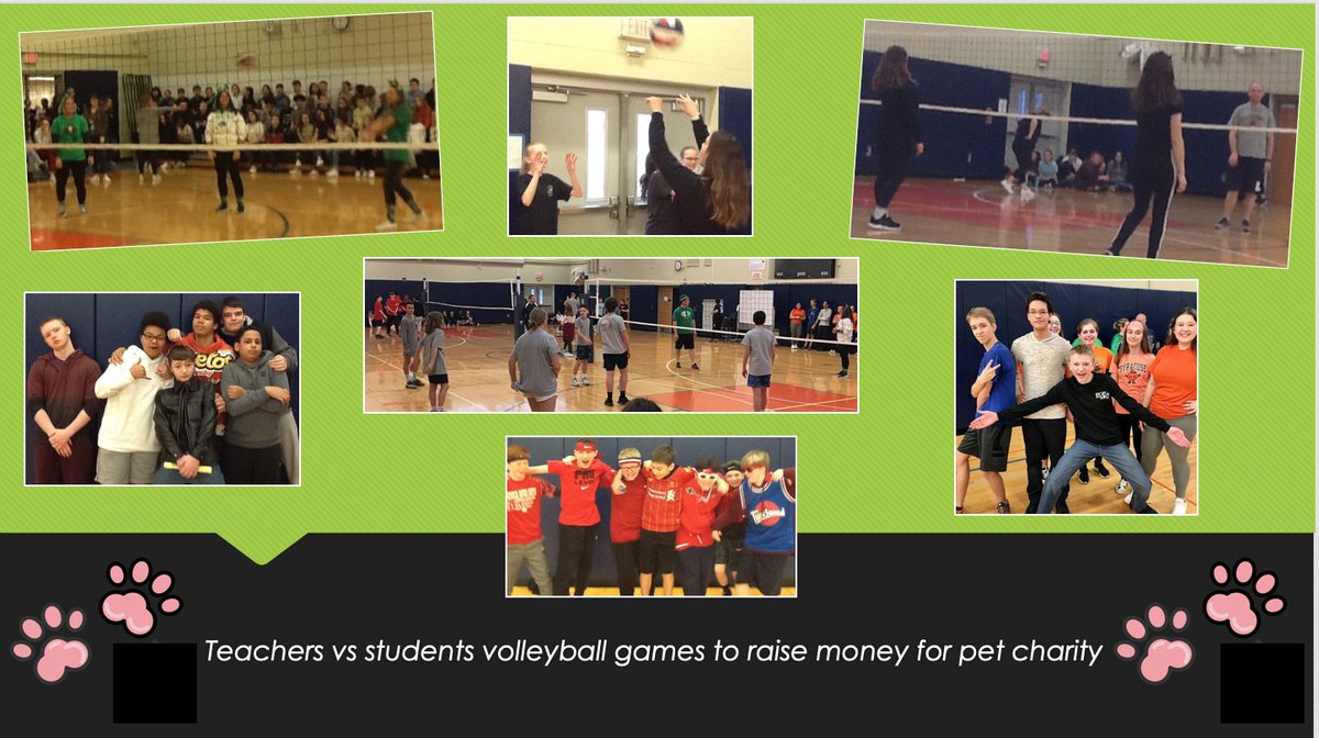 warriorsatlms's tweet image. Spirited volleyball games between student &amp;amp; teacher teams #LMScommunity #petdrive