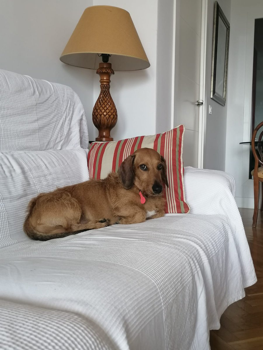 Carlos Sánchez Vega tweet media