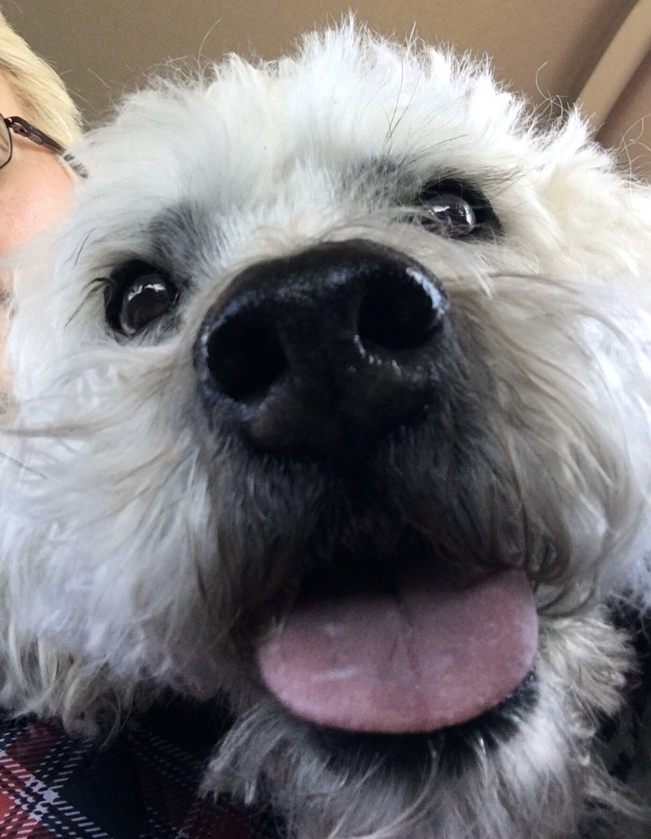 HBibler's tweet photo. @roto_tudor @darth Hi! https://t.co/L77FUerPX5