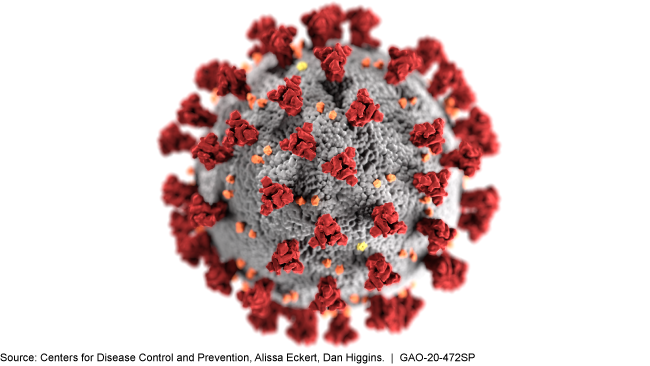 USGAO's tweet photo. The outbreak and spread of #COVID19 around the world and in the U.S. has raised questions about how prepared we are for a pandemic. #ICYMI last week’s WatchBlog took a look at what makes a pandemic and details on the #Coronavirus https://t.co/U6hEhiFM6h https://t.co/uJUN77sIHH