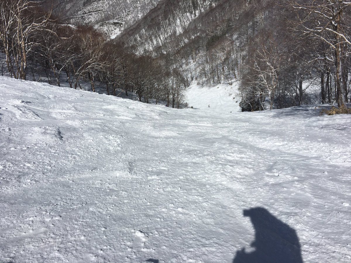 gen_ooo's tweet photo. 昨日は日帰りで北志賀竜王。
初めての木落としコースは1本滑っただけで足パンパン。
この雪不足な3月にしては当たり日だった！ https://t.co/EQDIJIR1tx