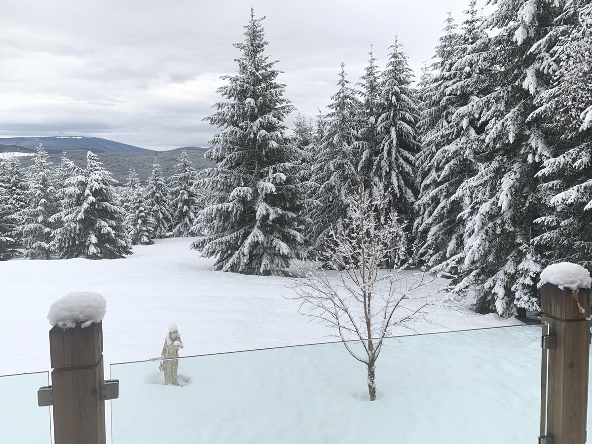 celistawine's tweet photo. Whoa!!! Spring is almost here... yeah sure. Photo taken last week. https://t.co/YW0V7CEa0H