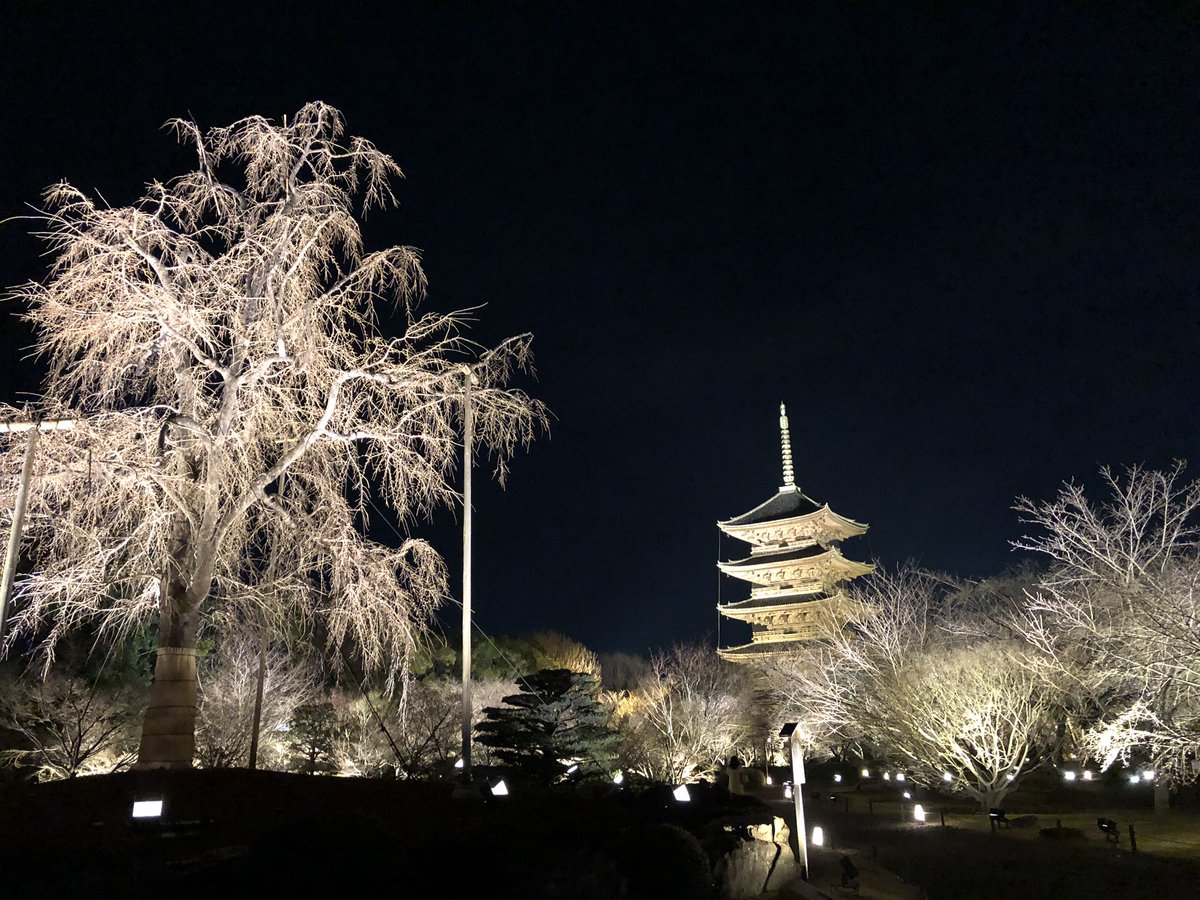 東寺ライトアップ 東寺ライトアップ