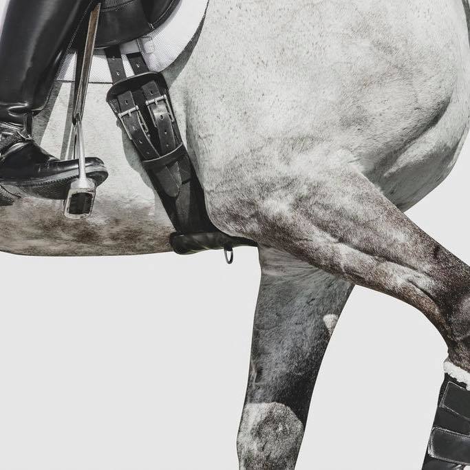 Tapestry Equine Products Inc. tweet media