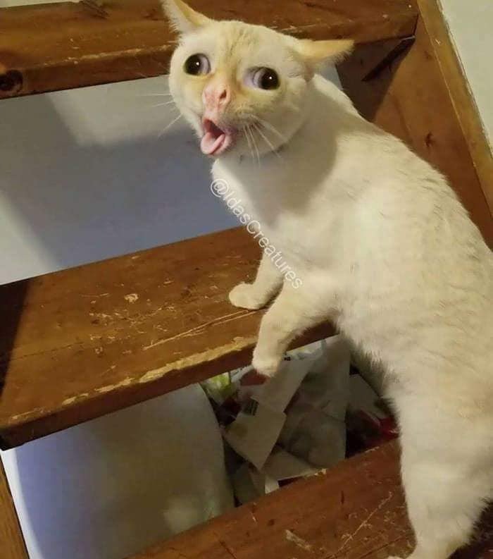 iamDeeYaah's tweet photo. Me practicing how ima cough once I get to work https://t.co/iMeIpl58B5