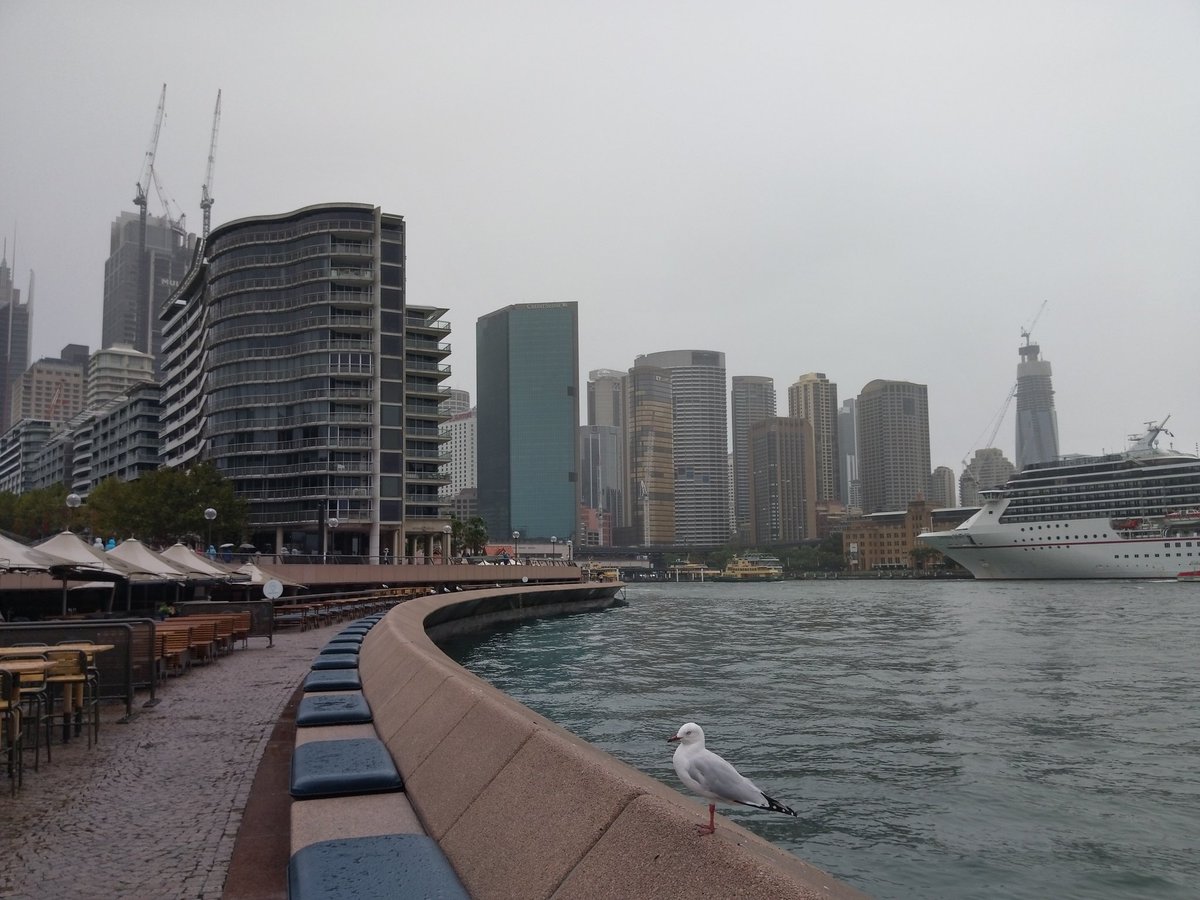 ShelleyHass's tweet photo. Lunchtime view goals! #makingtodaycount #Sydneyicons #Aussie https://t.co/5pTDhtXjhC