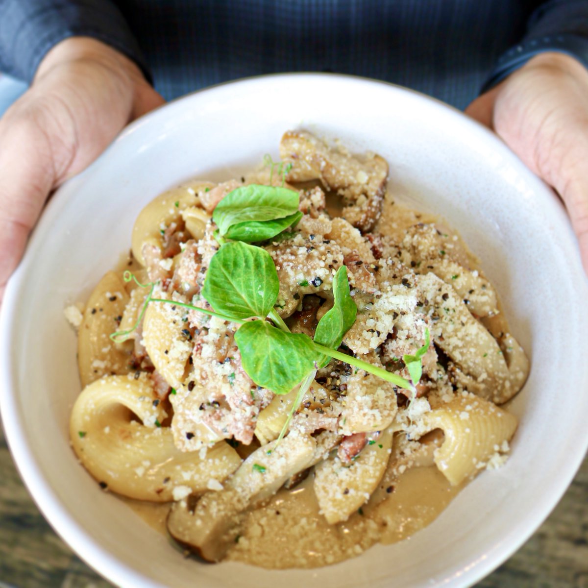 This week's special in il Piatto is a must try! 🍴
Rigatoni Boscaiola - House made rigatoni pasta served with porcini mushroom, braised pork cheek &amp; parmigiano reggiano 😋