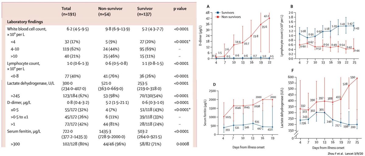 Yevgeniy Brailovsky DO MSc FACC tweet media
