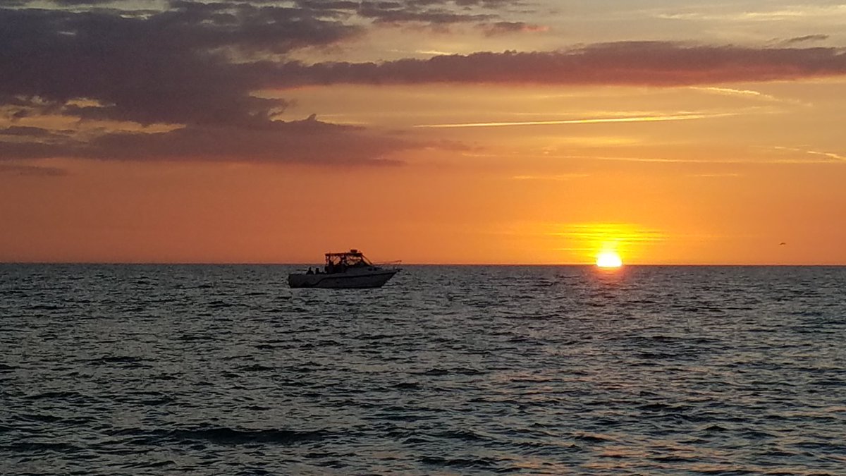 billeecox's tweet photo. Am keeping this tourist boat offshore #atgunpoint on the suspicion they've got #COVIDー19 man up America we gotta #takeitback "covfefe!" "Geshundheit!" https://t.co/fEBzKT6CNu