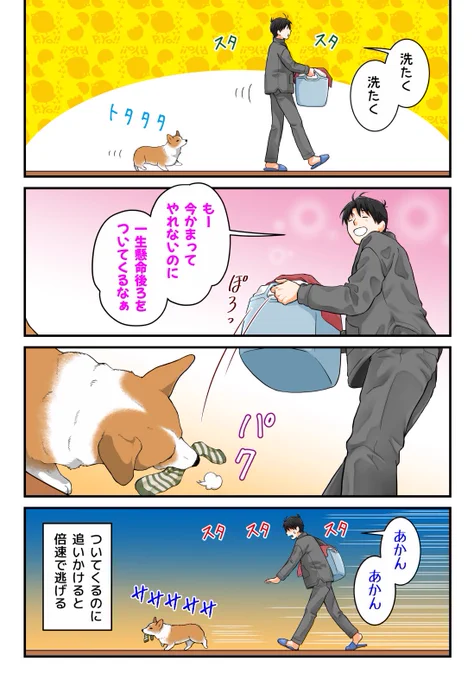 ついてくる犬 