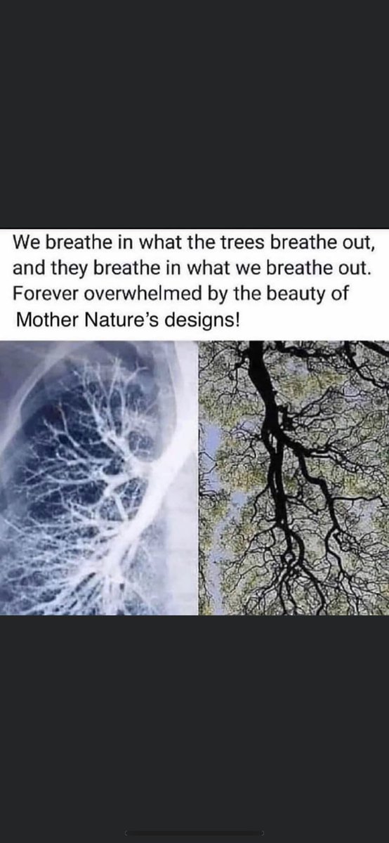 gary_hensel's tweet photo. https://t.co/2tGppbjElv