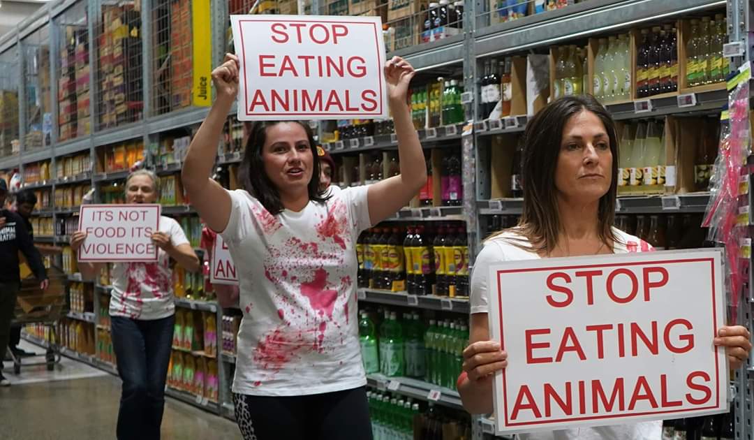 AnnaNicol18's tweet image. I don't think it made the news unfortunately but here's some activists storming pack n save Christchurch, they also had dominion signs @SilkenWizard