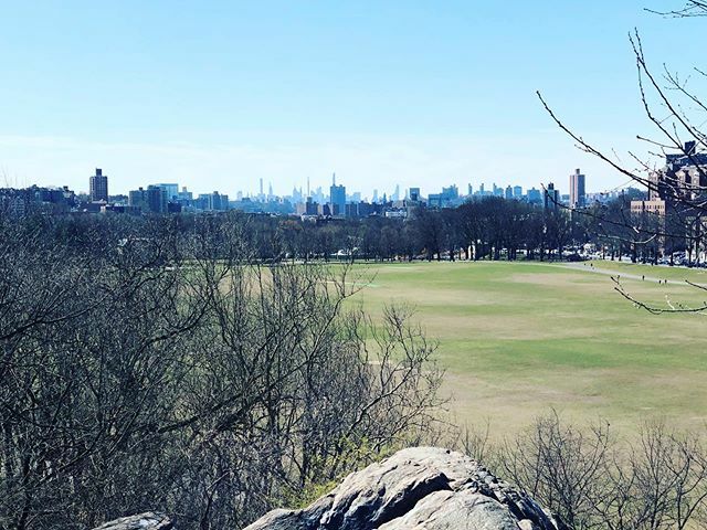 ForestBirds's tweet photo. Social distancing
.
.
.
#bronx #vancortlandtpark #nycparks #socialdistancing #park #citypark #newyork #nyc #everydaybronx #skyline #landscape https://t.co/aQ88bIxfYD https://t.co/454OBwJiuk
