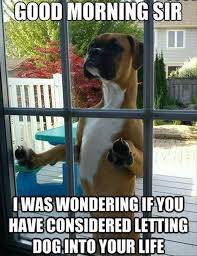 ellelljaytoo's tweet image. #ASAPcouldAlsoStandFor...

ALWAYS Say A Prayer 🐾🙏🐾

#woof #DogsOfTwitter #dogtweet