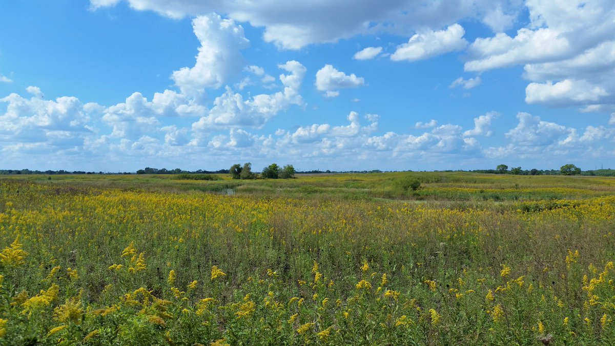 During these times of uncertainty, it's showing us how thankful we should be for all the great things that are so easy to take for granted.  Even though some of those have been stopped &amp; shut down for now, we know that all storms will pass and blue skies will eventually prevail!