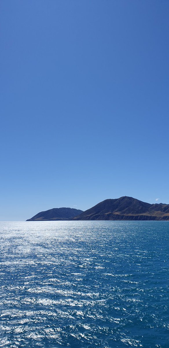 HeleenLansink's tweet photo. The high word is out. I'm going home. Gutted, but I prefer to be at the place called home right now. 

Goodbye NZ you were fantastic!

#nuffieldAg #nuffield2019 https://t.co/hOOgfmB26g