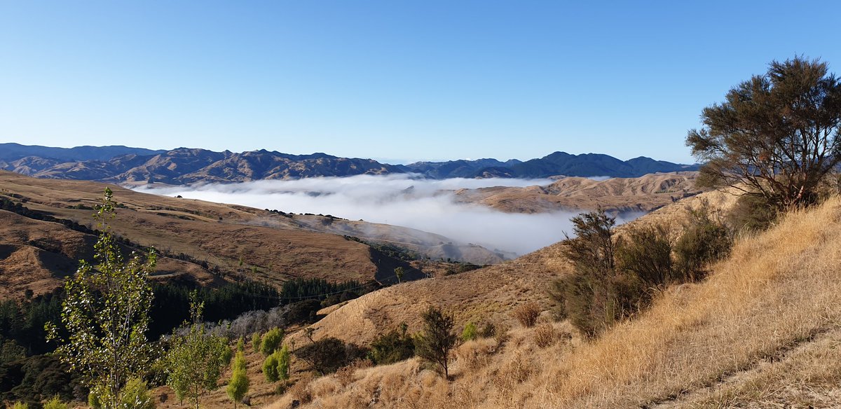 HeleenLansink's tweet photo. The high word is out. I'm going home. Gutted, but I prefer to be at the place called home right now. 

Goodbye NZ you were fantastic!

#nuffieldAg #nuffield2019 https://t.co/hOOgfmB26g