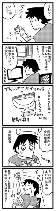 12 こねこを抱っこする前に気をつけること 