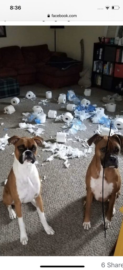 To all of your toilet paper buyers