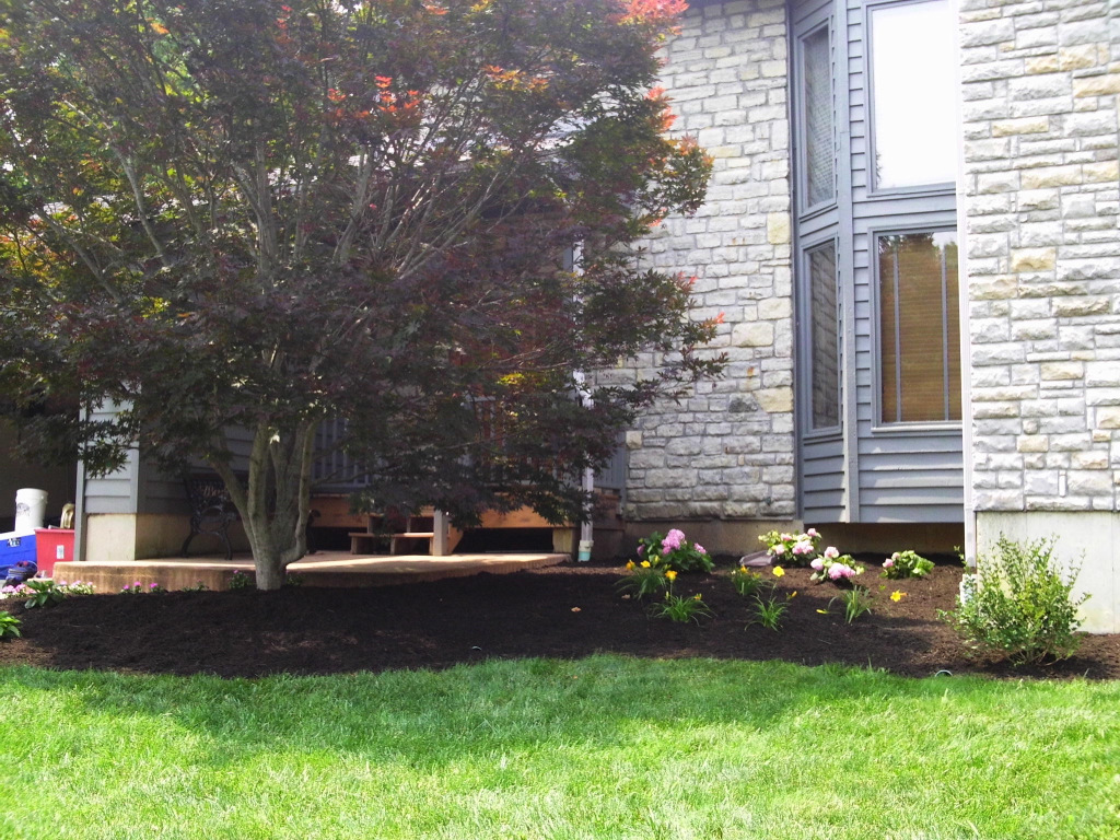 Spring Cleanup 2019 mybigc.com/2020/03/15/spr…